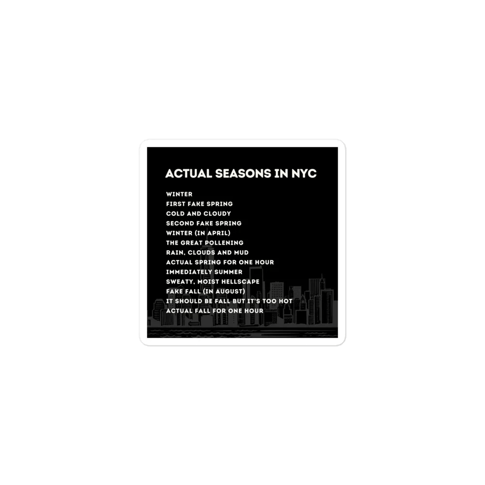 Actual Seasons in NYC Magnet product image (1)