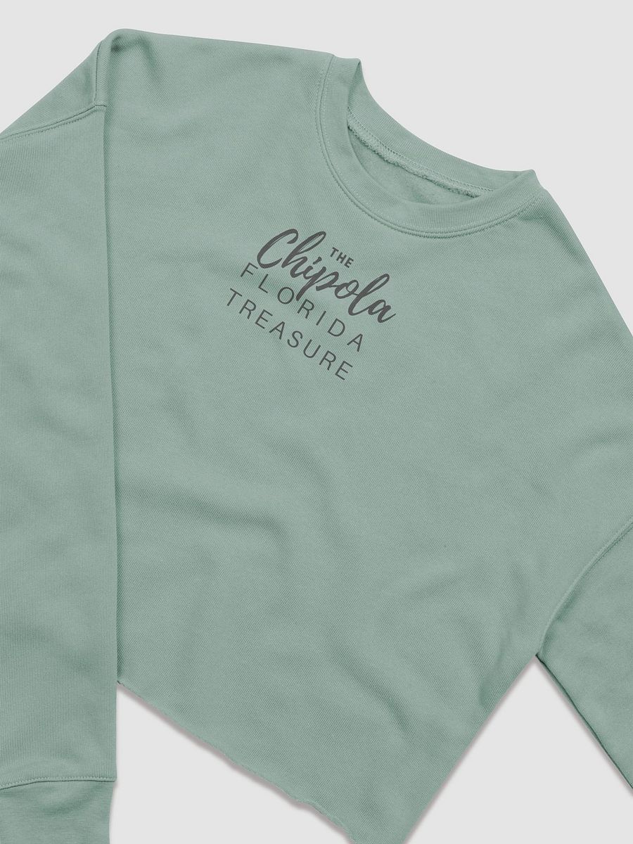 The Fleece Crop Sweatshirt product image (2)
