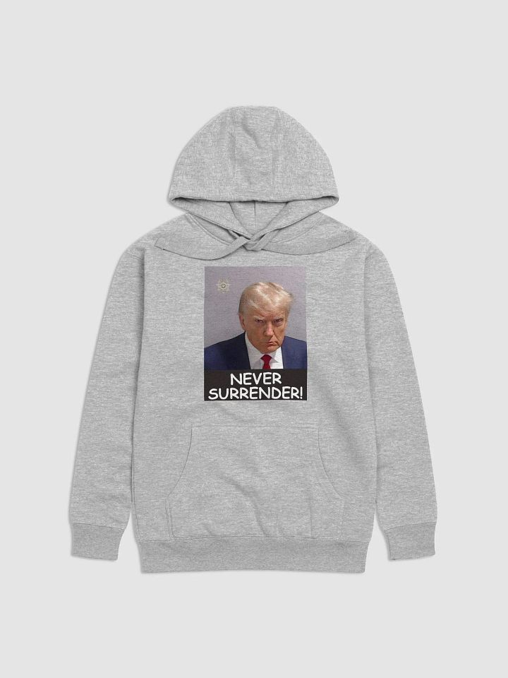 TRUMP MUGSHOT HOODIE product image (2)
