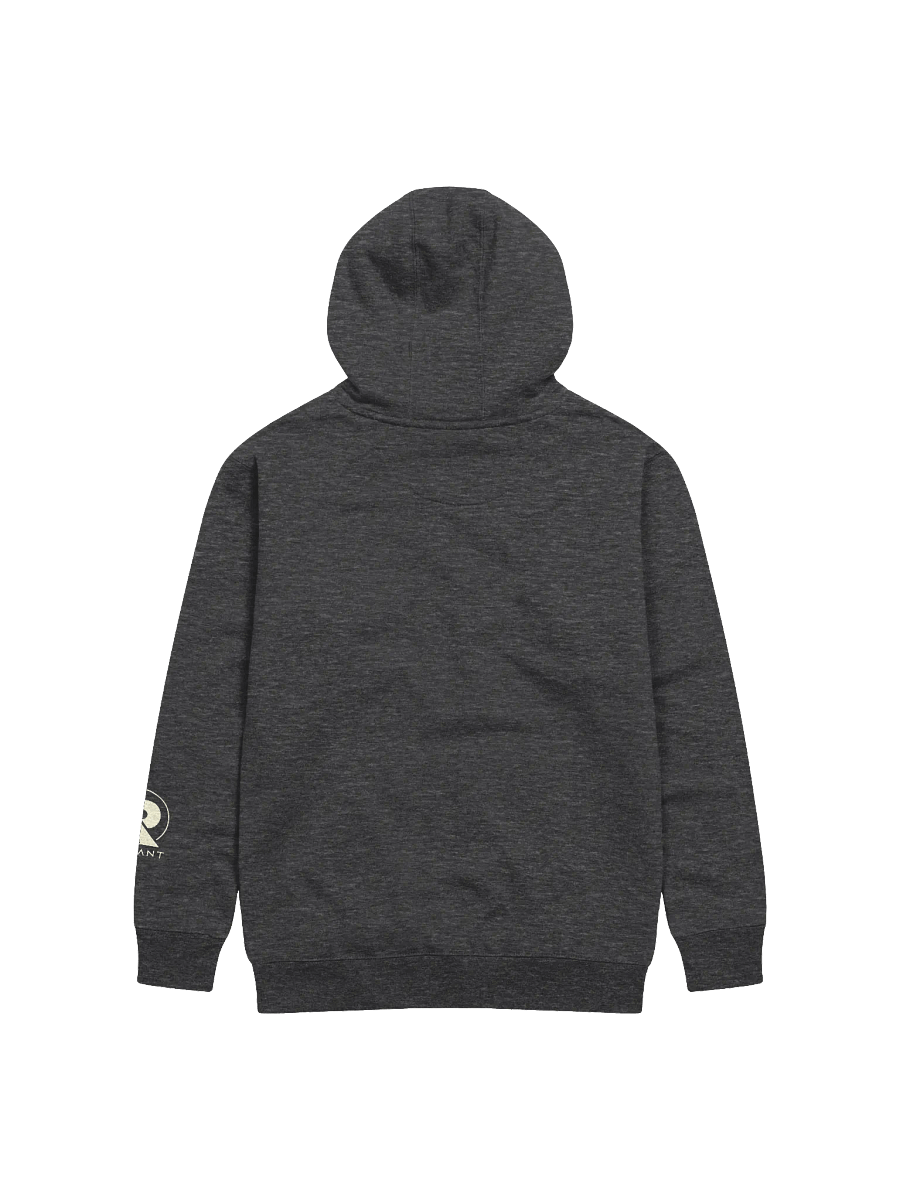 A $RADCAT Hoodie product image (2)