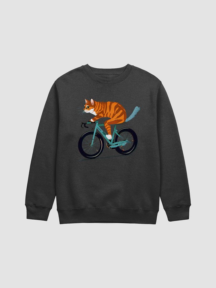 Whimsical Tabby Cat Bicycle Ride Sweatshirt product image (2)