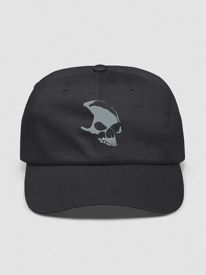 Armada Skull Dad Hat product image (1)