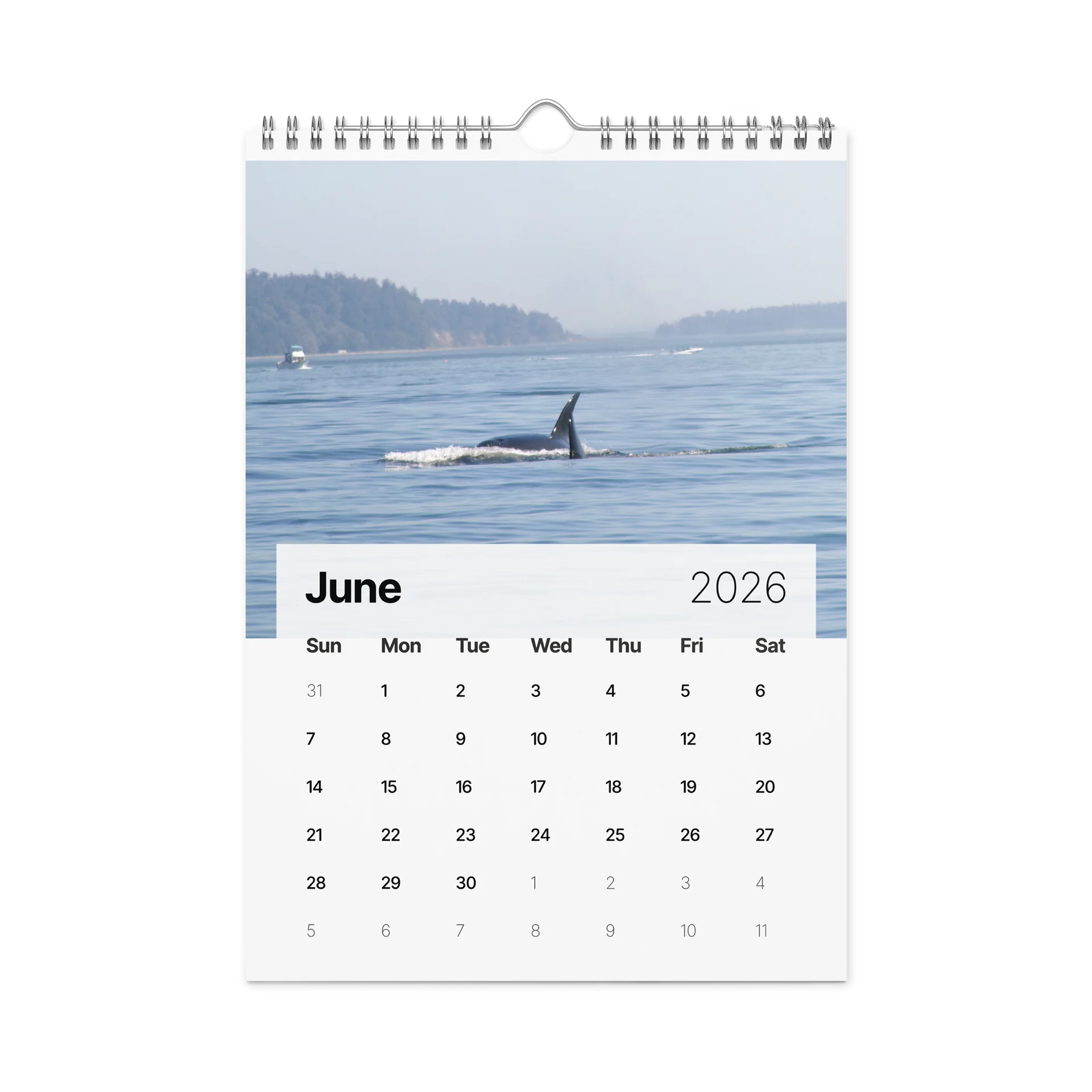 CRAVONE - 2026 Orca Calendar product image (8)
