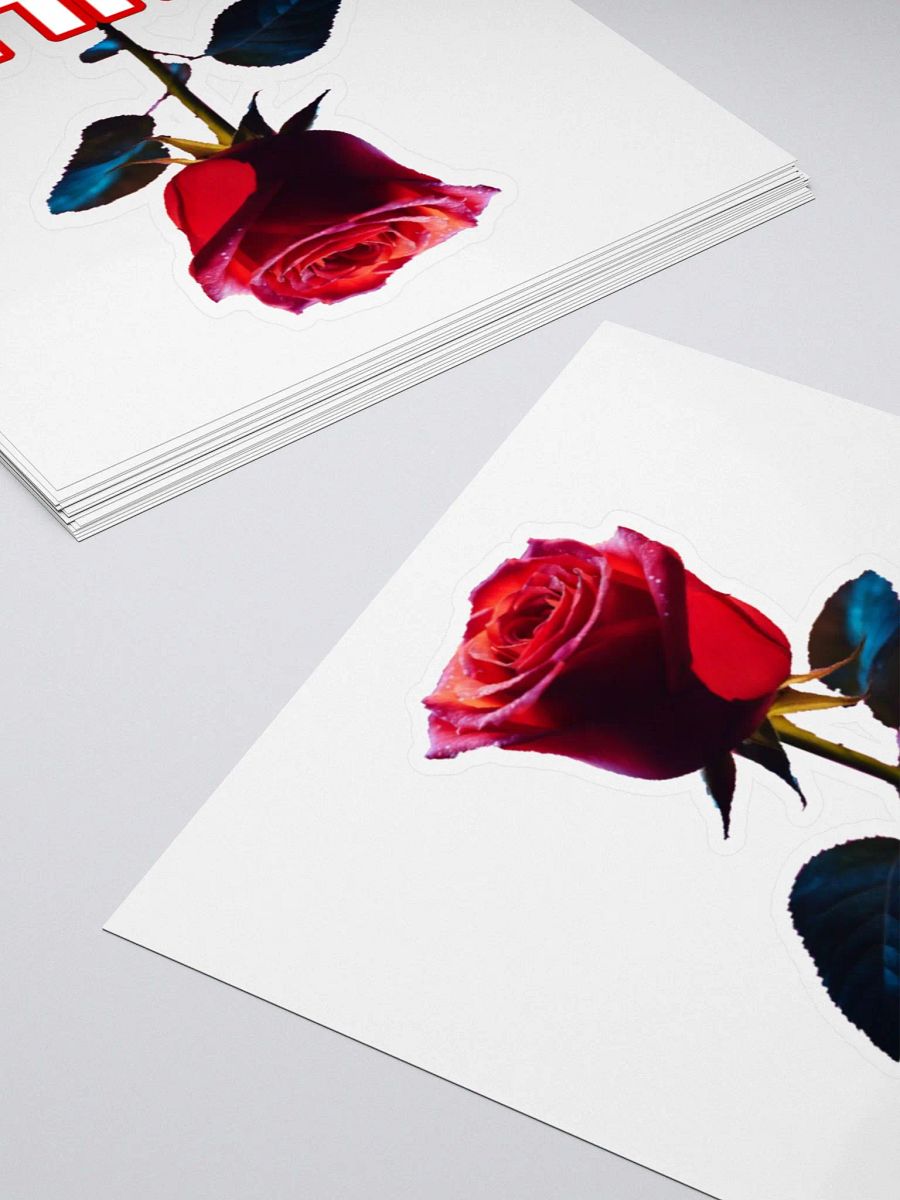 CULT ROSE product image (4)