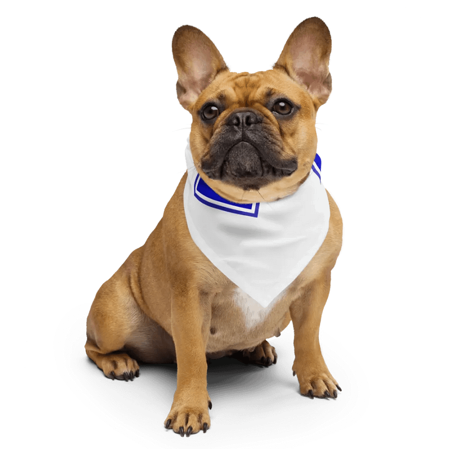 "Star of Life" Bandanna product image (4)