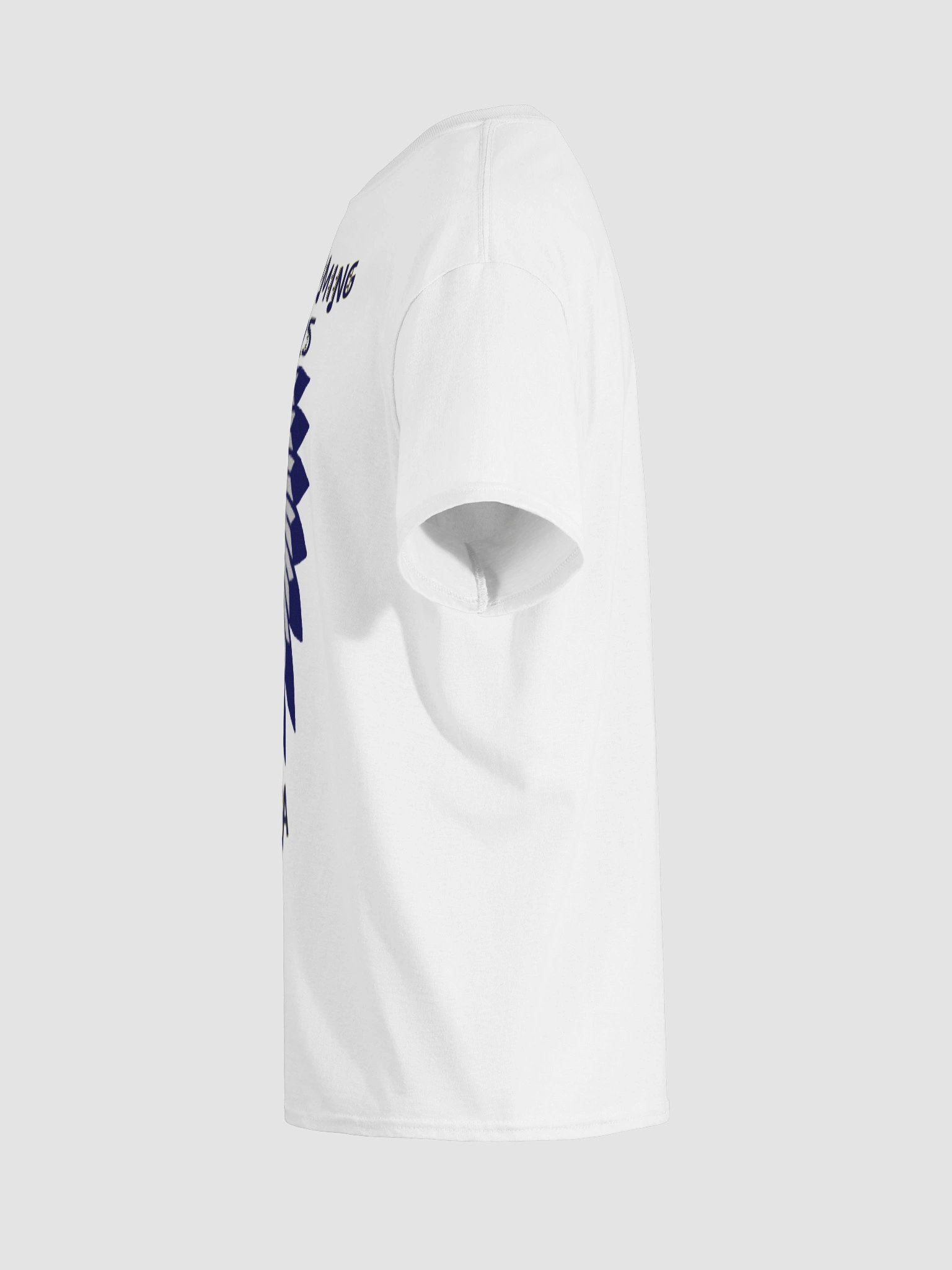 Homecoming 2025 Frankston ISD T-Shirt product image (11)