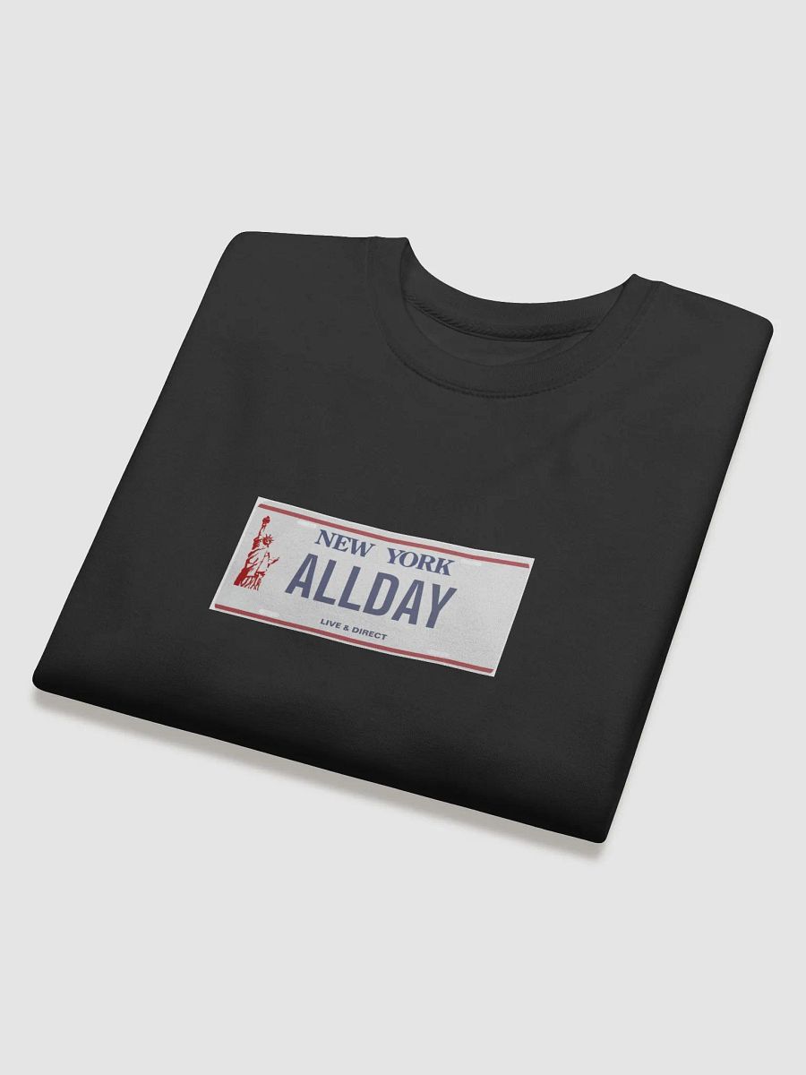 ALLDAY License Plate Crew product image (12)