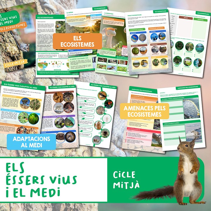 Els éssers vius i el medi: Ecosistemes product image (1)