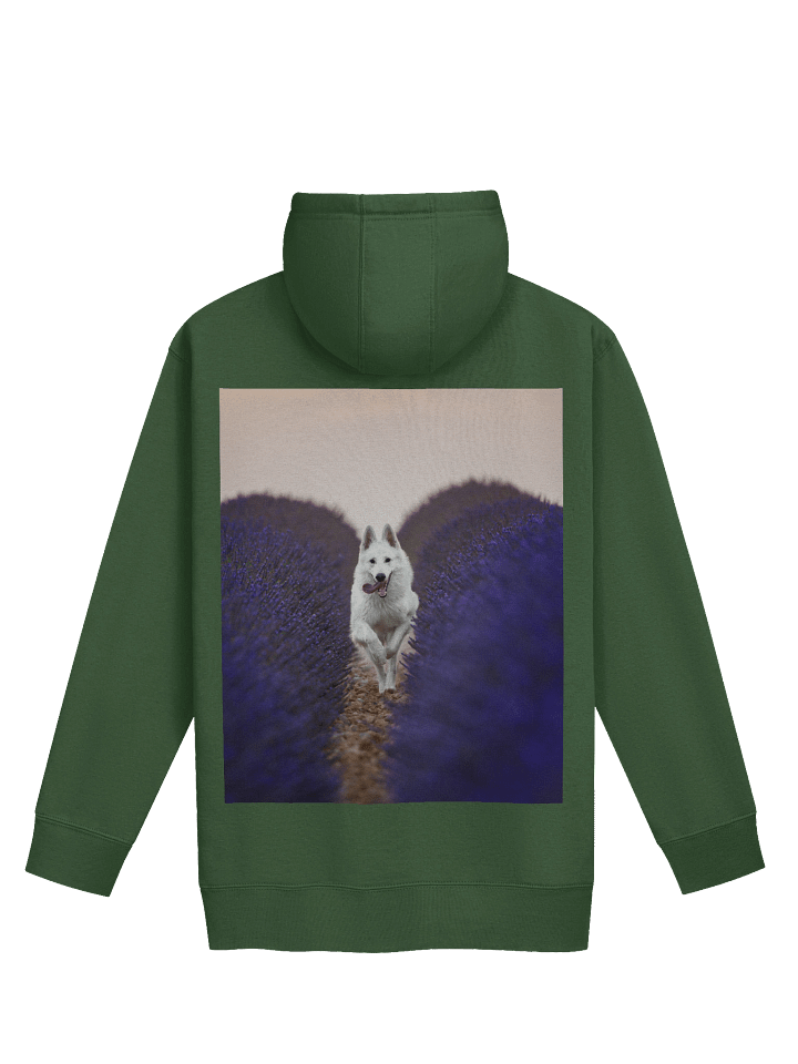 Rasta in the lavender fields product image (11)