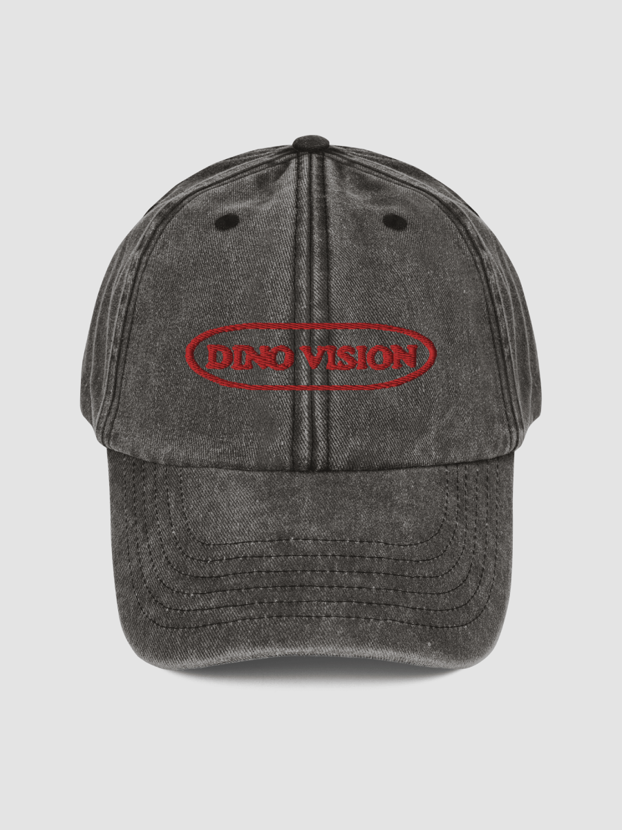 Dinovision Vintage Dad Hat product image (2)