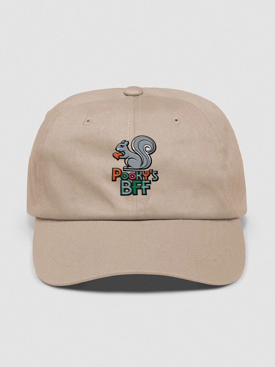 Baseball Hat Embroidered: Pooky's BFF, Colorful lettering, grey squirrel with red heart product image (1)