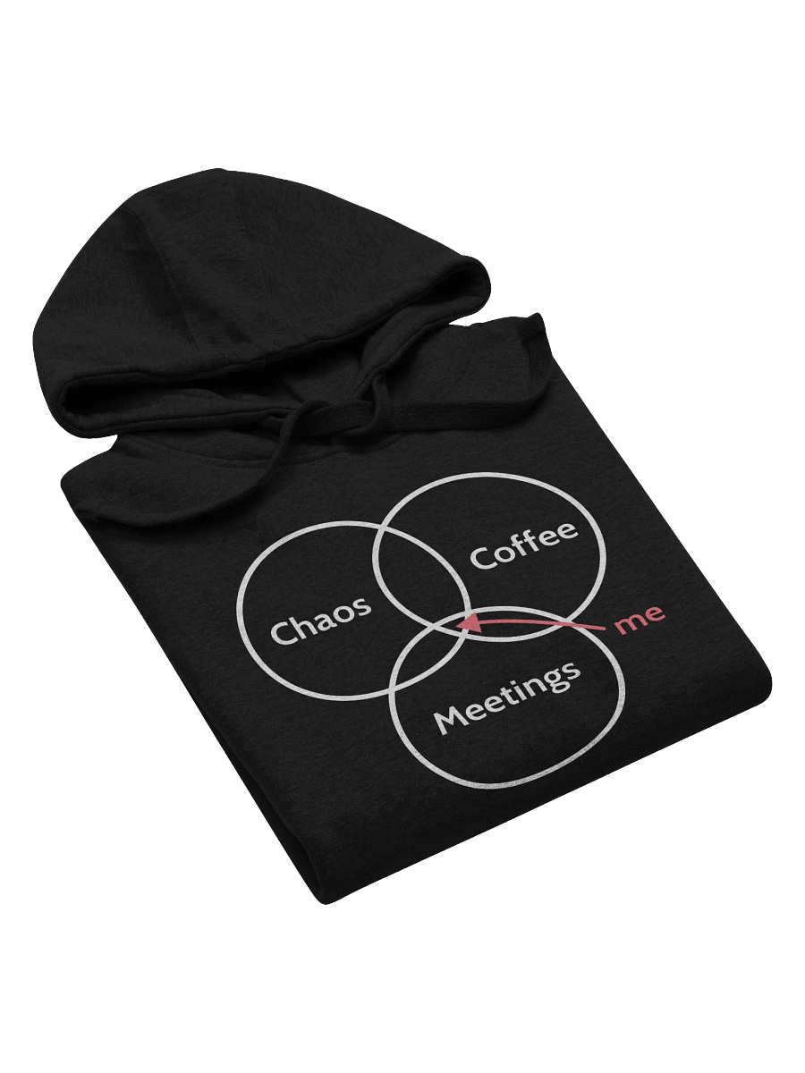 Unisex Hoodie: True PM Venn diagram product image (5)