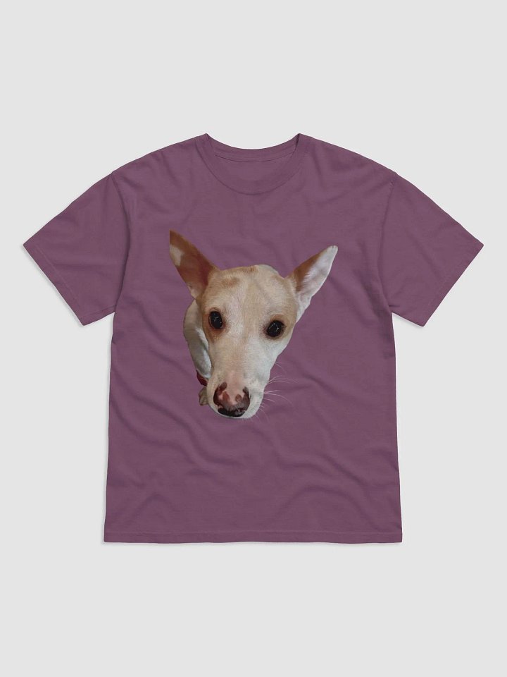 Finn crew neck shirt product image (11)