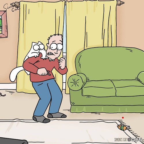 Always let your cat catch the red dot! 🔴