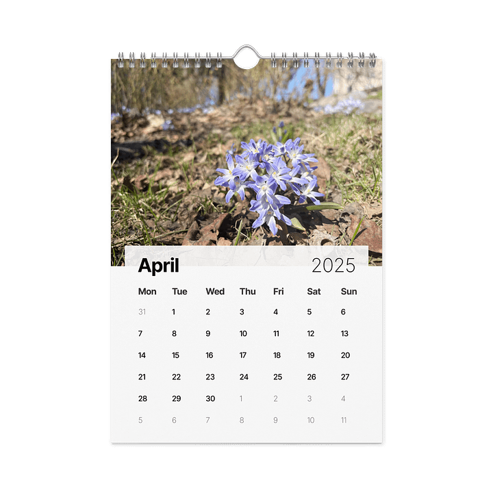 Golden Harvest: 2025 Mushroom Wall Calendar product image (1)