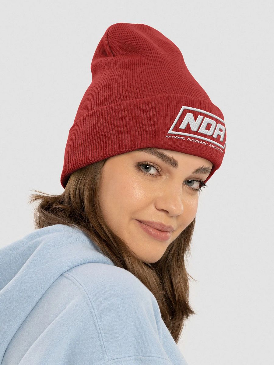 National Dodgeball Association Beanie product image (34)