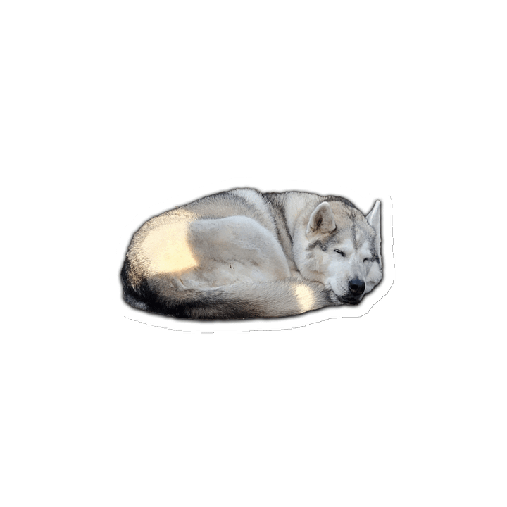 Sleepy Magnet product image (2)