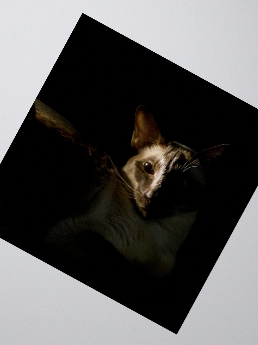 Shadow Siamese Sticker product image (5)