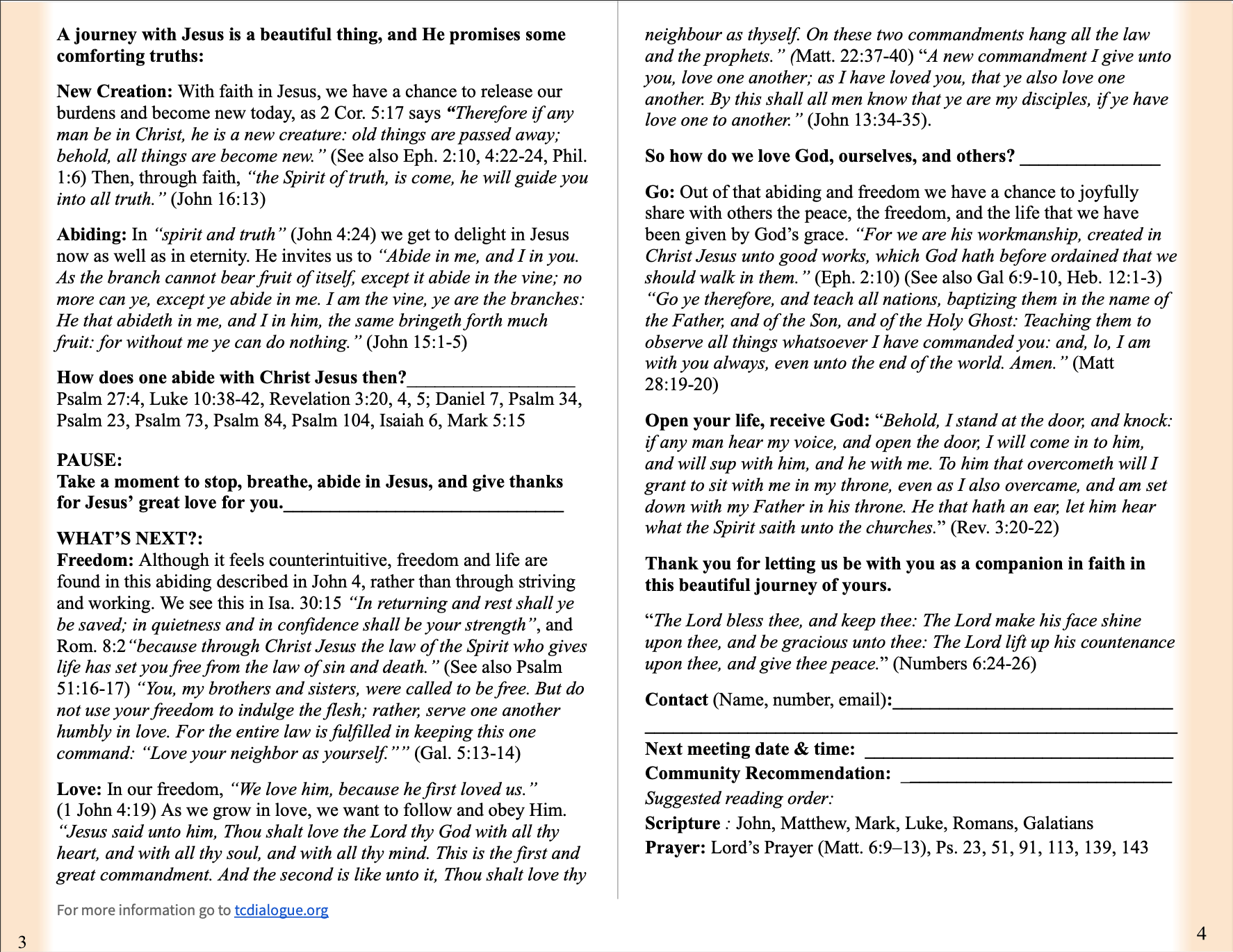 Basic Gospel Printout product image (2)