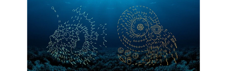 image puzzle of Anglerfish and Nautilus