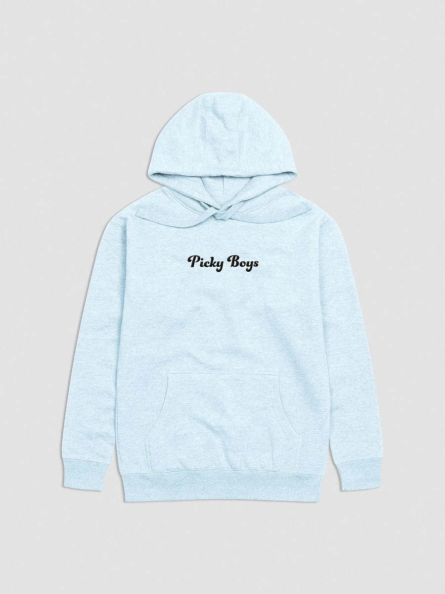 Picky Boys Embroidered Hoodie (5 Colors) product image (5)