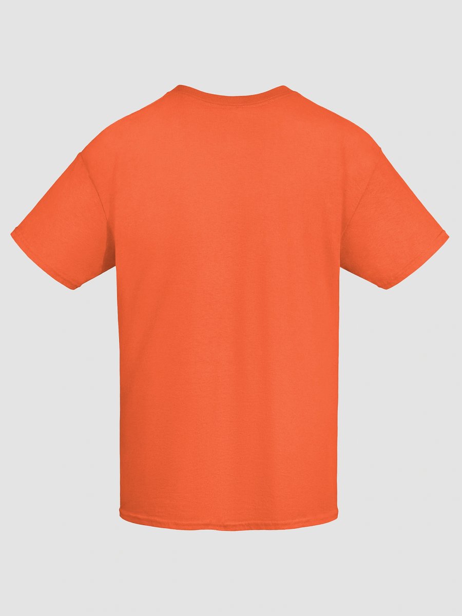 Healthy Wealthy Vegetarian & Vegan Tee product image (9)