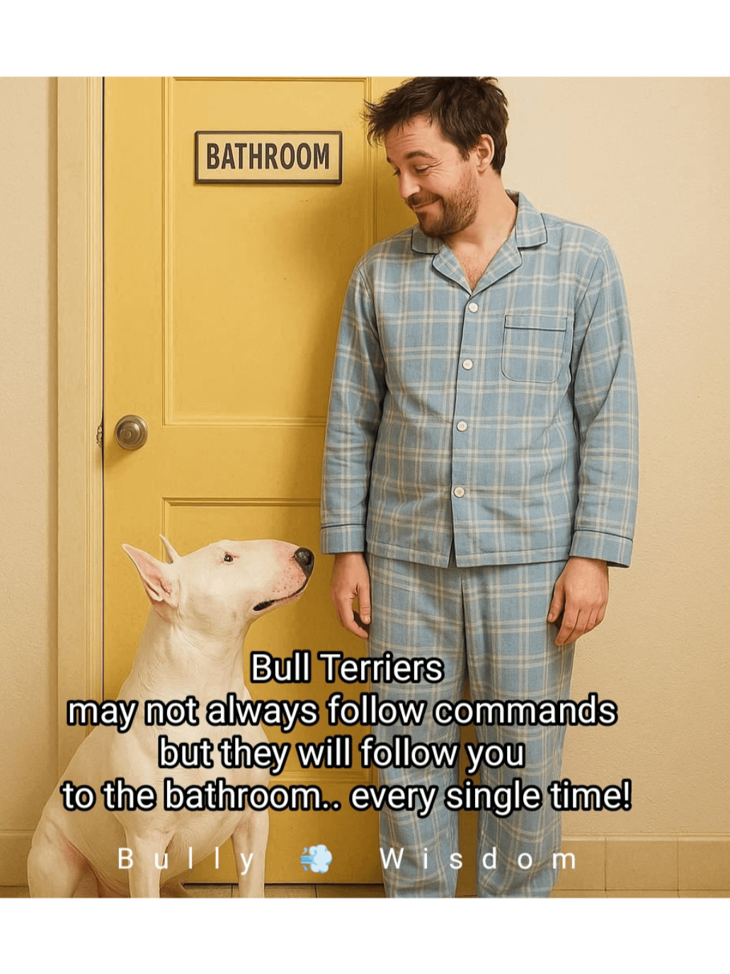 Bull Terrier- Calendar 2026 product image (4)