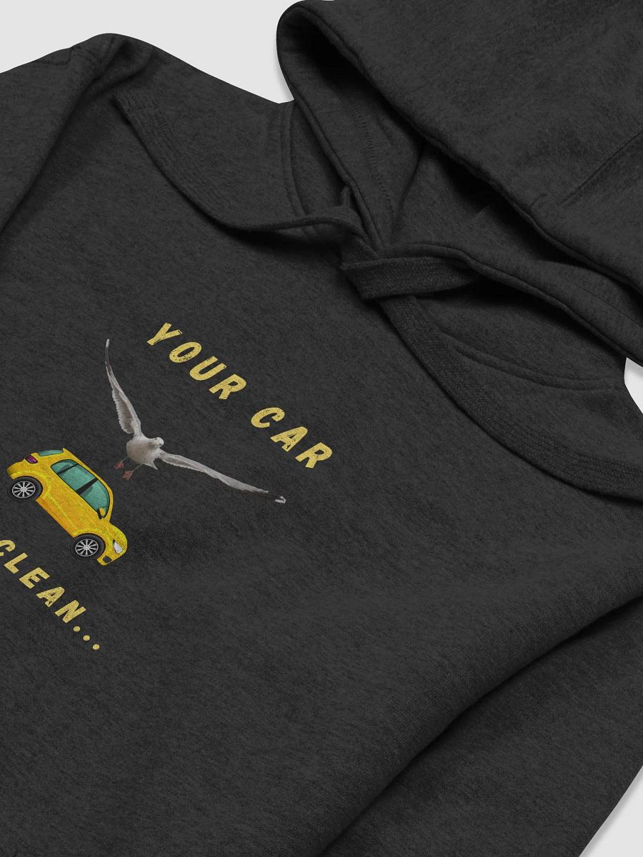 Your Car Looks Clean... Seagull Hoodie product image (16)