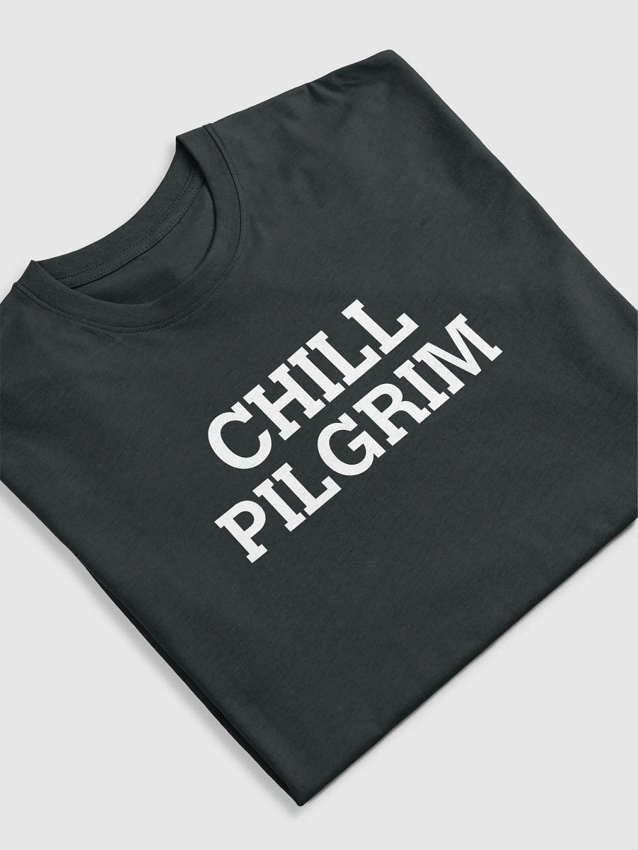 Chill Pilgrim Wordmark Tee product image (5)