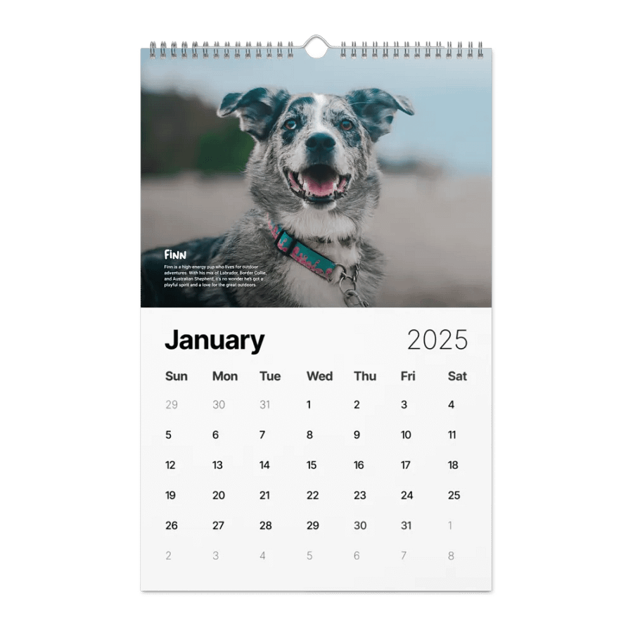 Official 2025 Calendar product image (6)