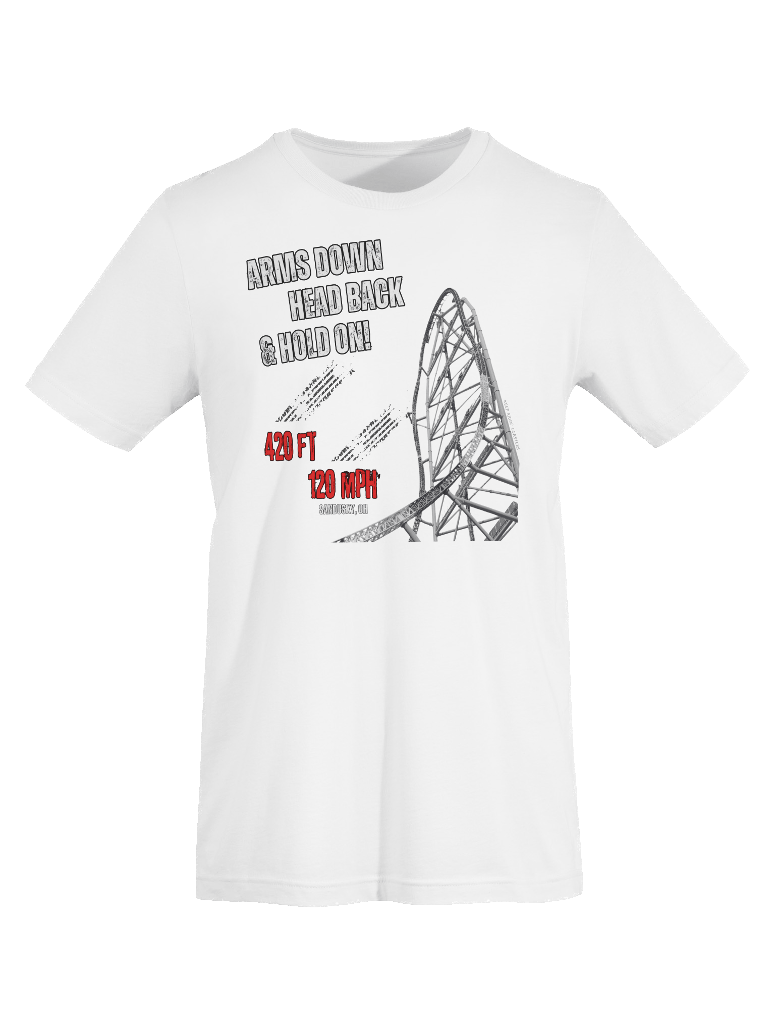 Arms Down, Head Back & Hold On - 420/120 Tee product image (32)