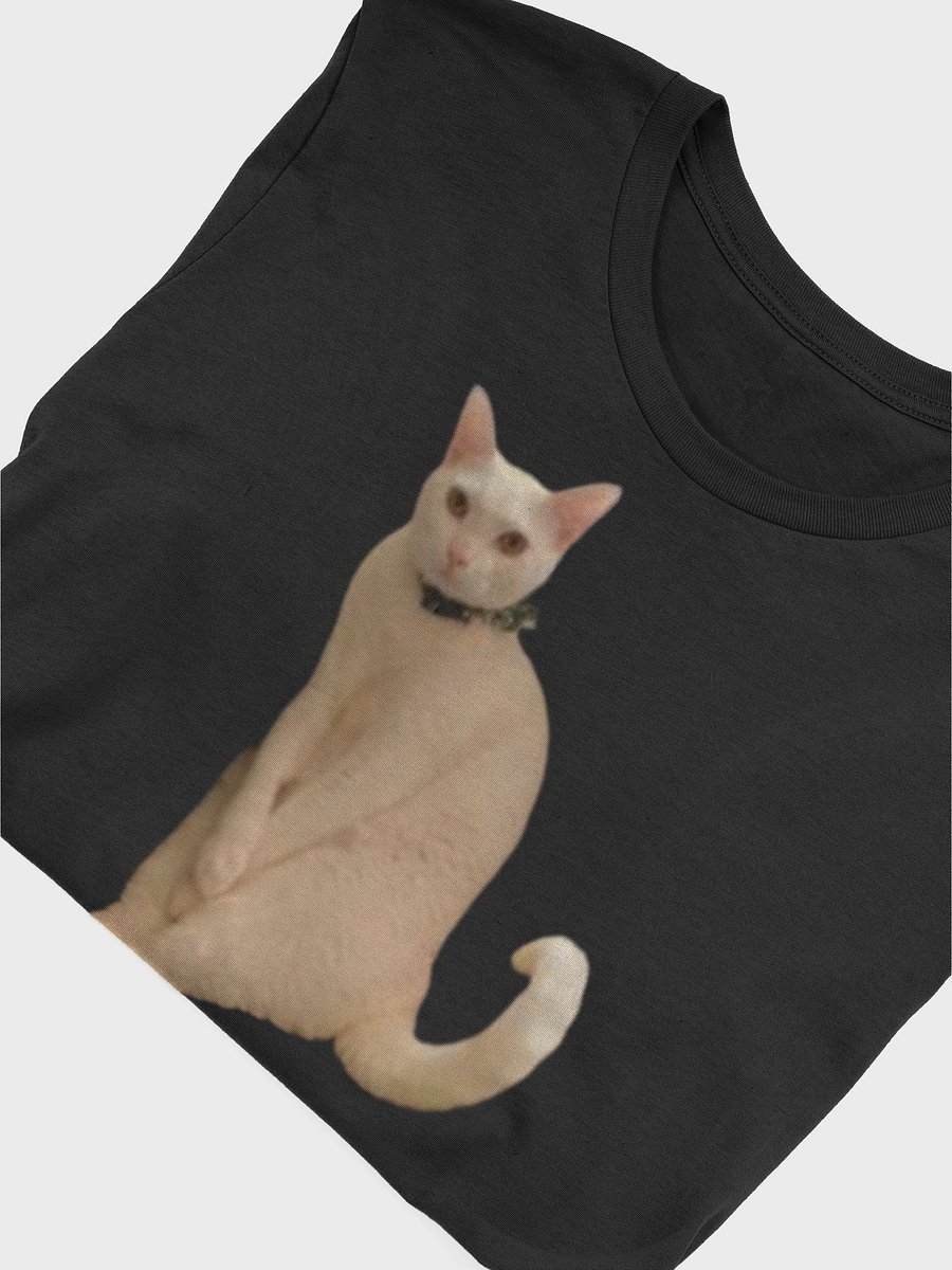 MeowSim product image (4)