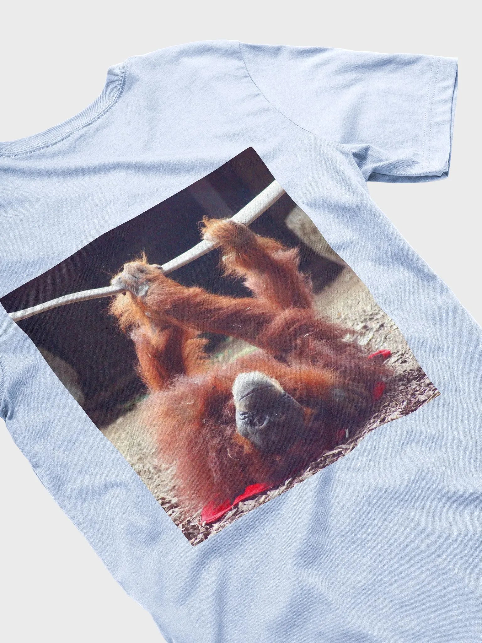 2025 CO3 tee orangutan2 product image (4)