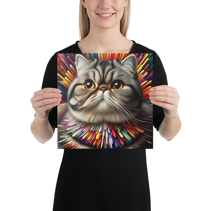 Canvas (in): Exotic Shorthair product image (2)