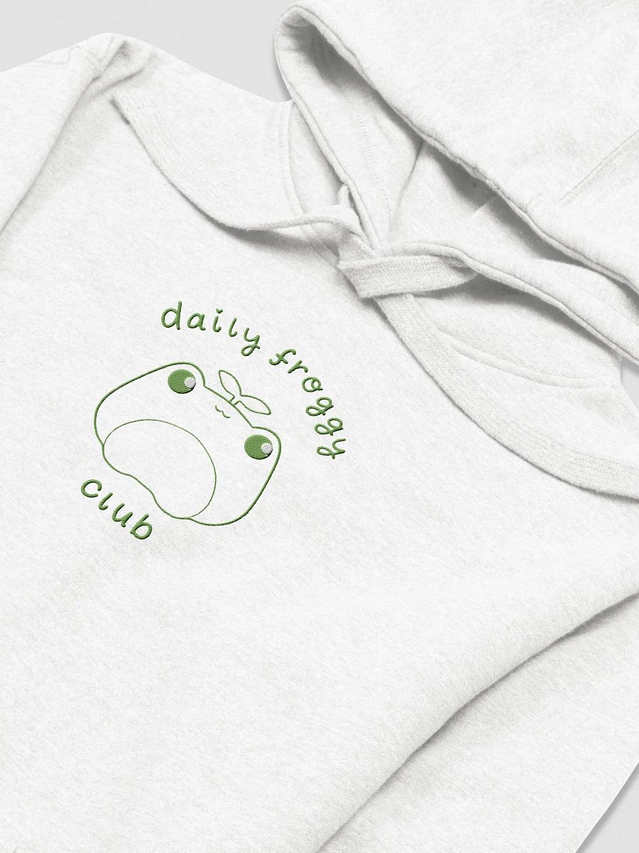 Daily Froggy Club Embroidered Hoodie product image (3)
