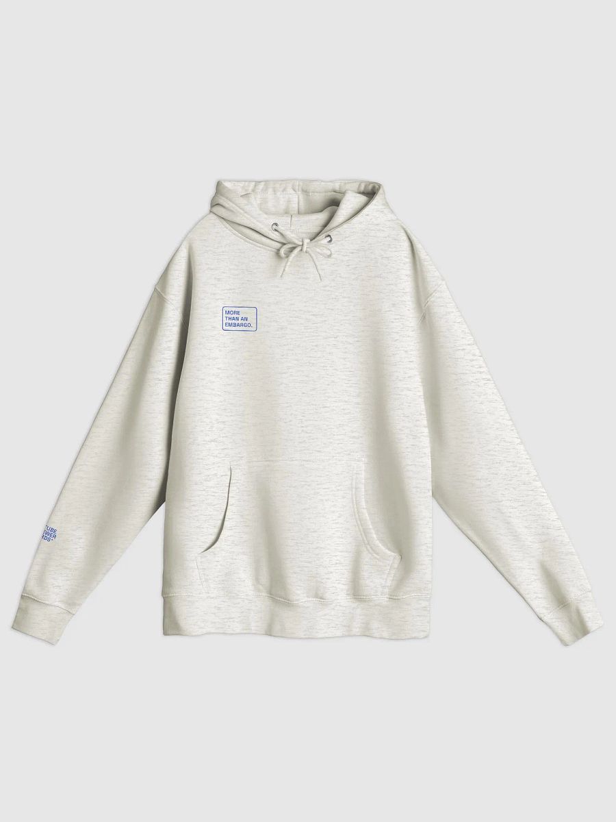 More Than an Embargo Hoodie product image (1)