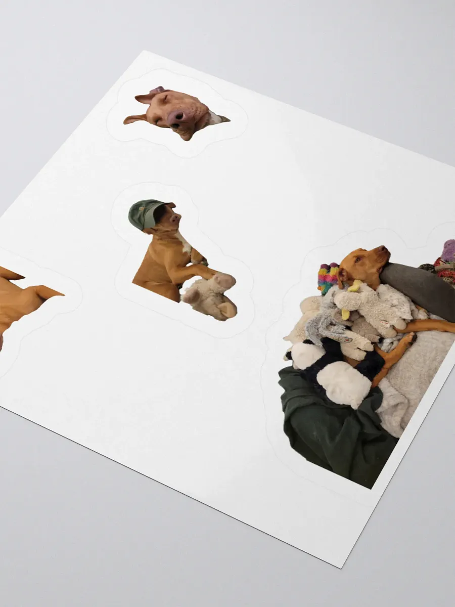Ginger product image (3)