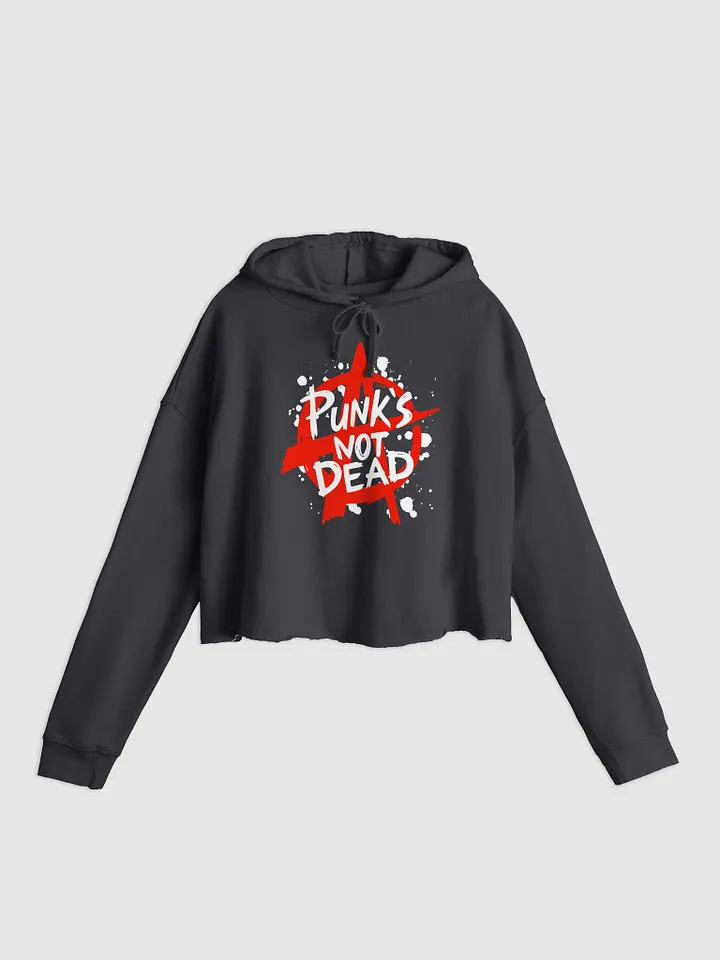 Punk´s not dead product image (1)