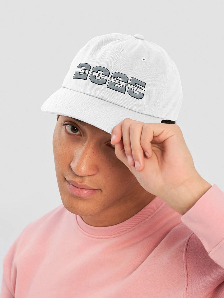 Grey "Year of the Bird" Cap product image (1)