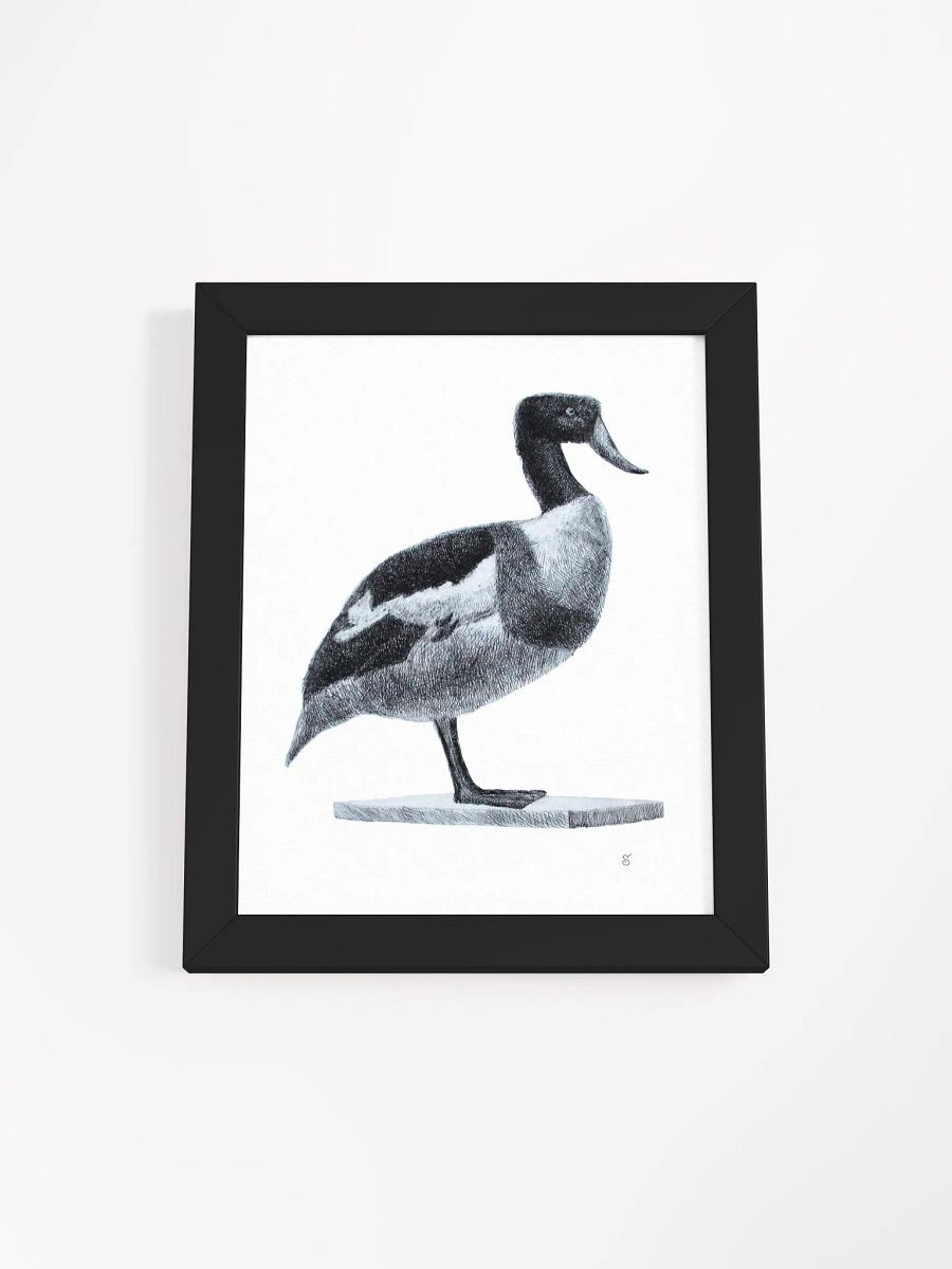 Serene Solitude: Framed Duck Illustration - Duck product image (3)