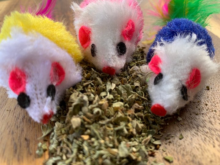 Whinny’s Favorite Kitty Cat Mice Toys and Catnip product image (2)
