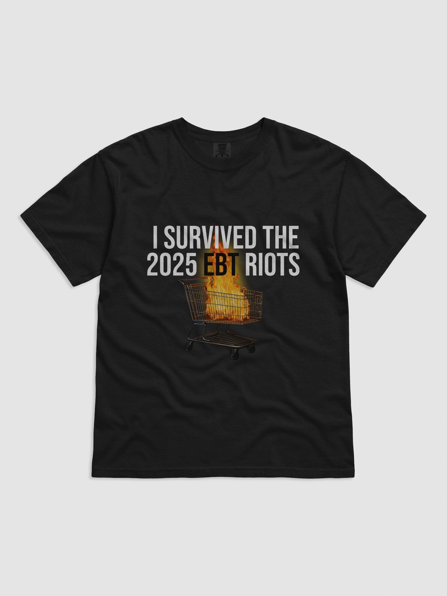I Survived The 2025 EBT Riots product image (1)