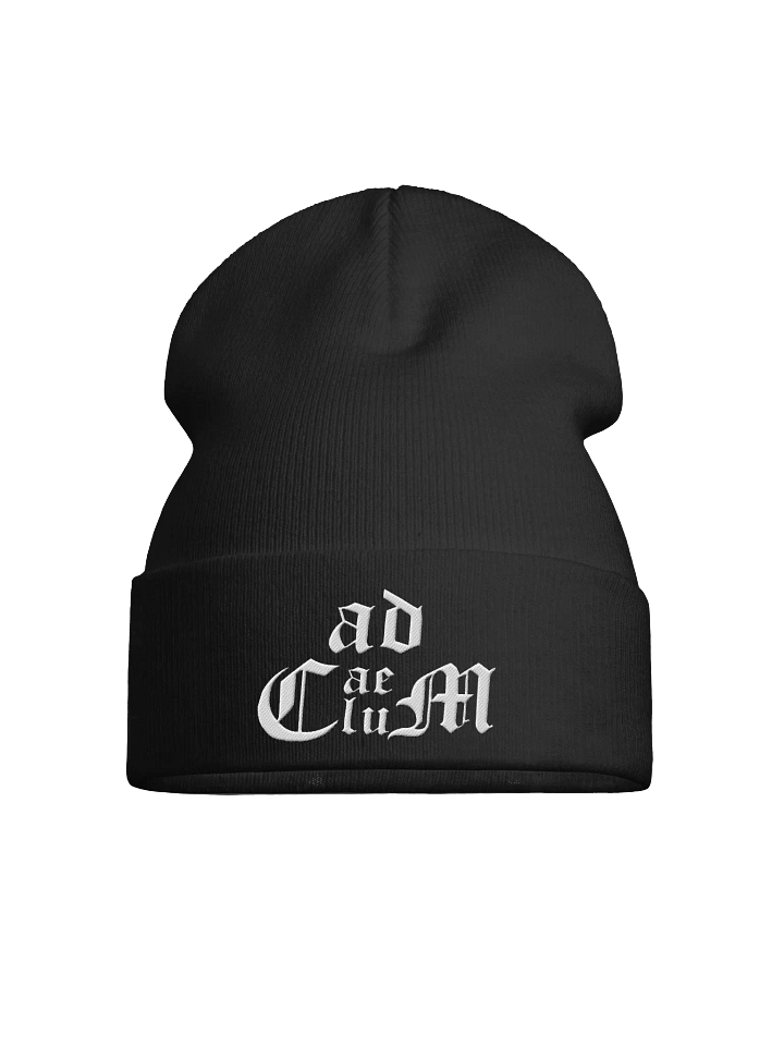 Generic Logo Beanie (Black) product image (1)