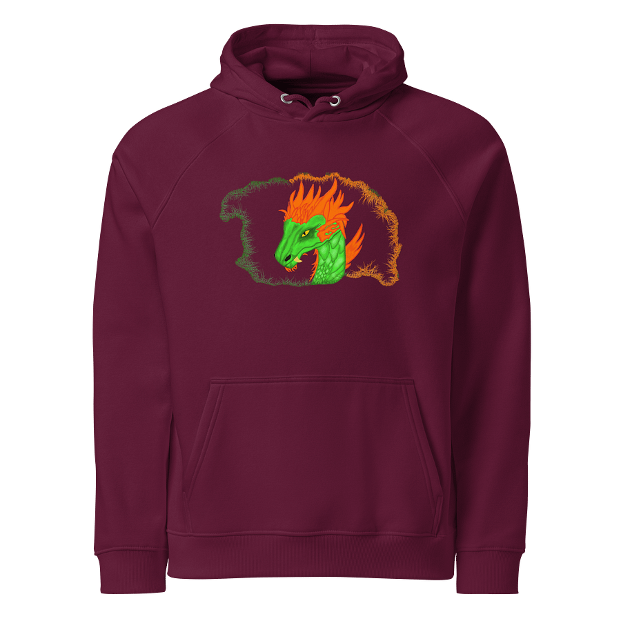 Dragon's Fury Eco Raglan Hoodie product image (1)