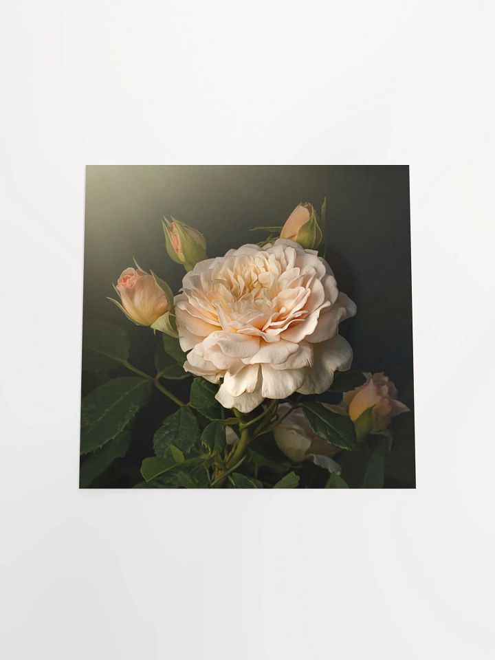 Blush Double Daylilies product image (1)