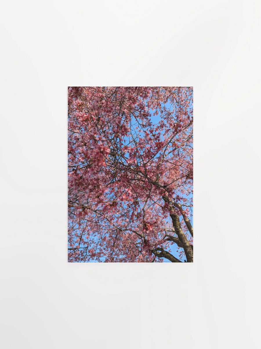 Blossom Canopy Poster product image (1)