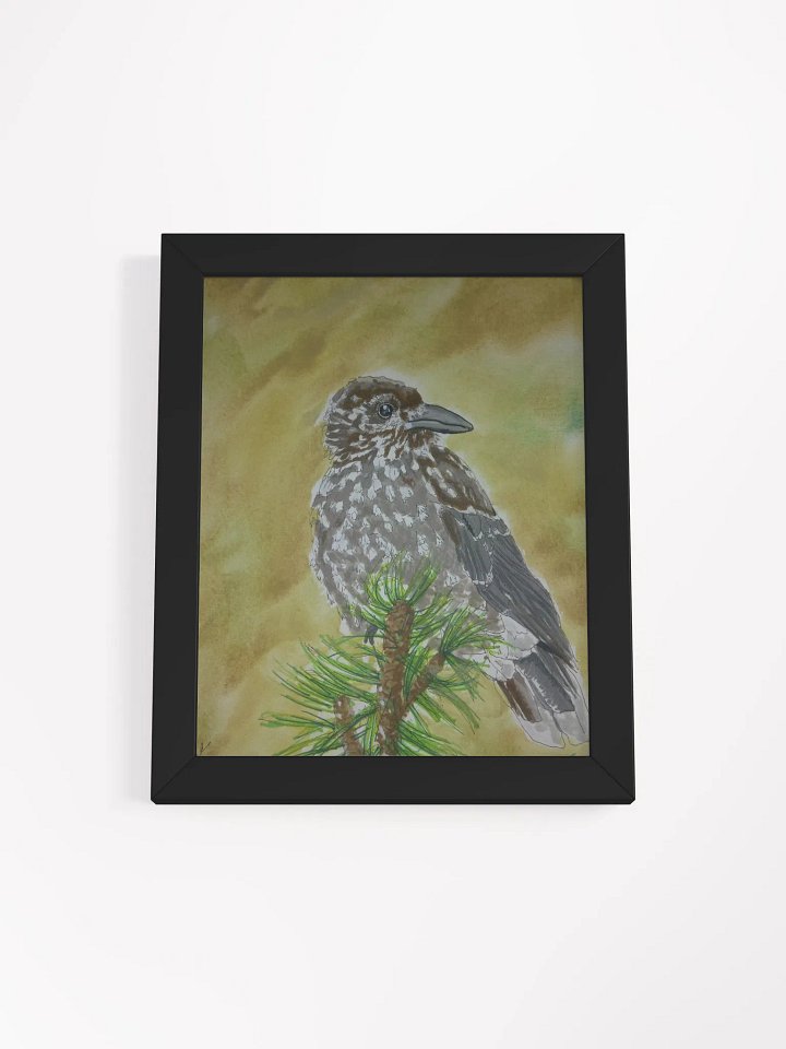 Member bonus: Corvid Series [09] Spotted Nutcracker Framed Print product image (1)