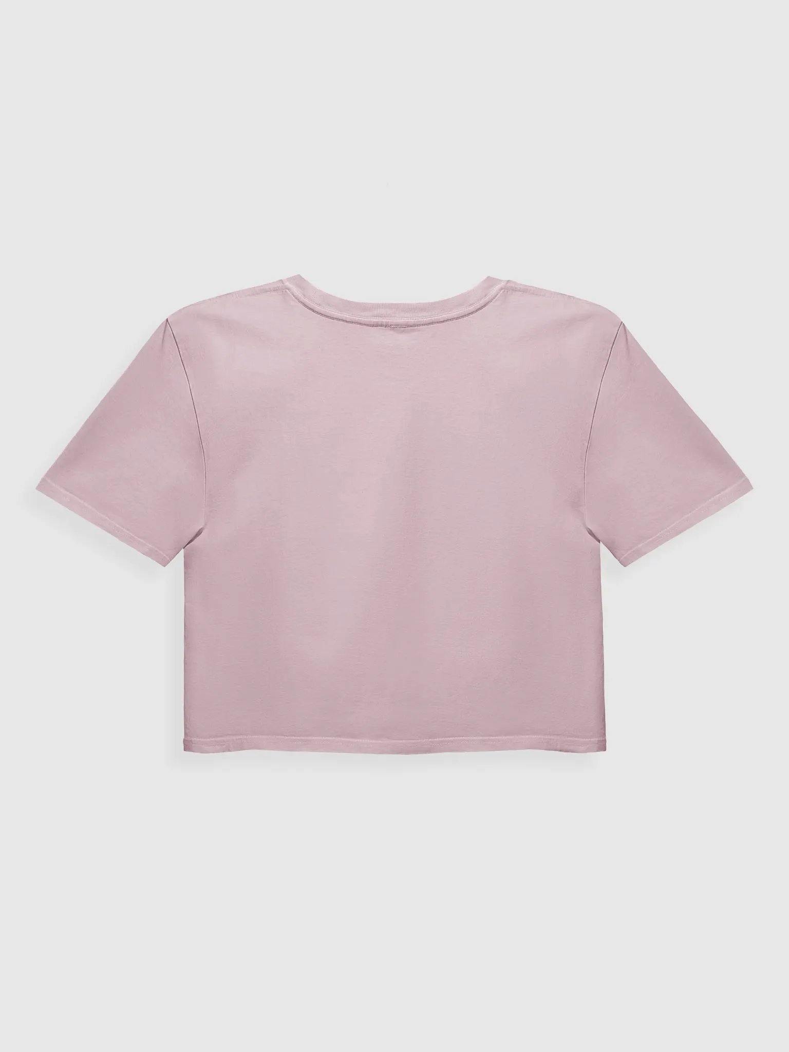 Viking Vampire Era Crop Top product image (8)