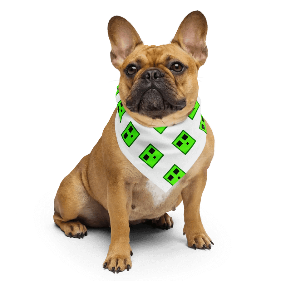 Eloc Slime Bandana product image (6)