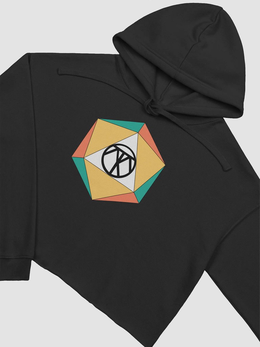 ThatonePansexualD20 Crop Top product image (11)